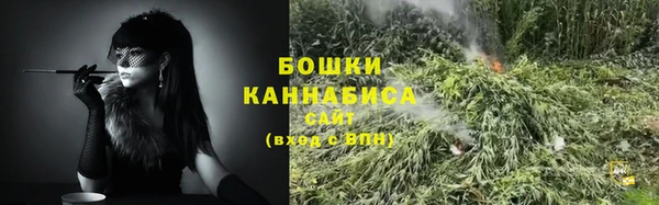 прущие грибы Красноперекопск