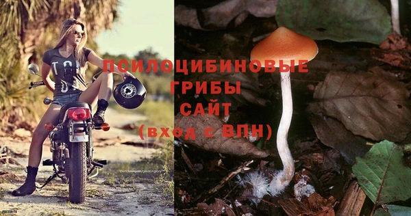 прущие грибы Красноперекопск