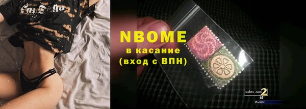 прущие грибы Красноперекопск