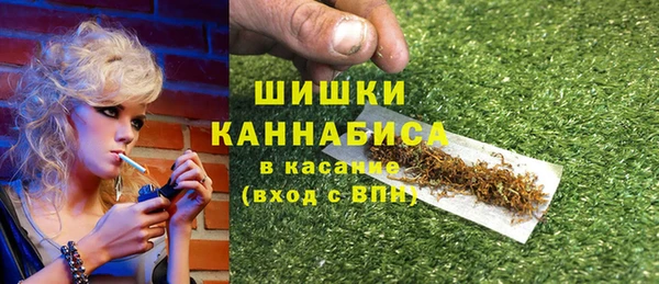 прущие грибы Красноперекопск