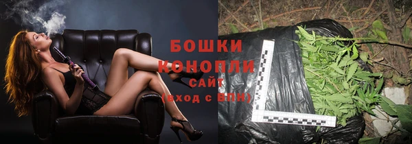 прущие грибы Красноперекопск