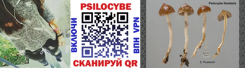 Галлюциногенные грибы прущие грибы  Купить  Саки 
